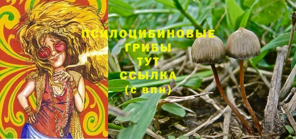 мет Абаза