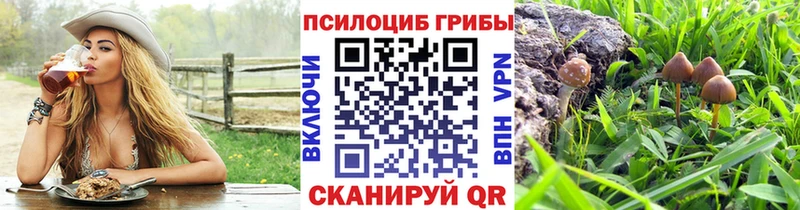 купить   Солигалич  mega tor  Псилоцибиновые грибы Psilocybe 